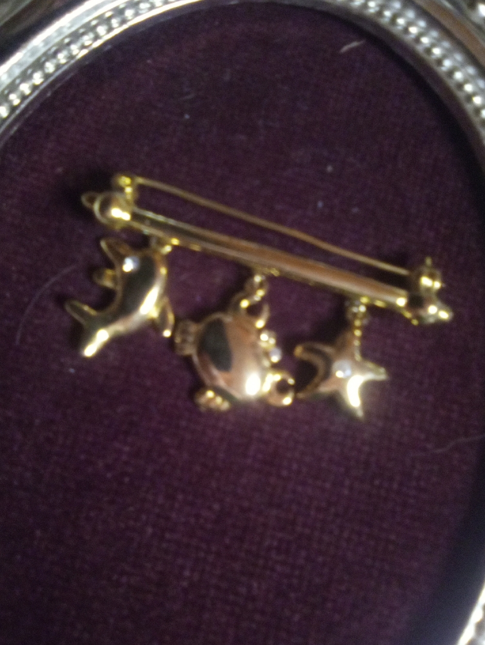 Ocean life Bar pin